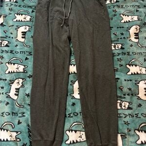 Hollister Gray Drawstring Women's Jogger Pants